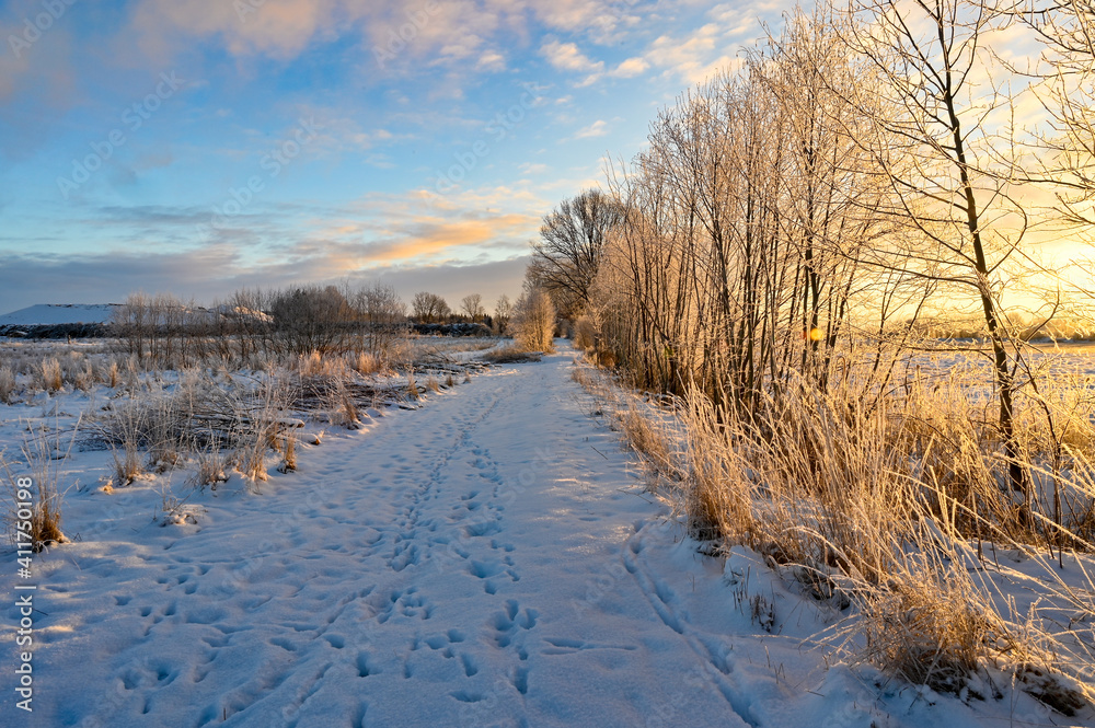 sunrise over fields covered in snow in Sweden sunrise over fields covered in snow in Sweden
