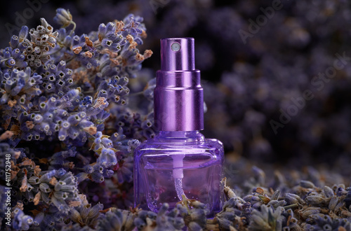 Bottle with lavender water in dried flowers
