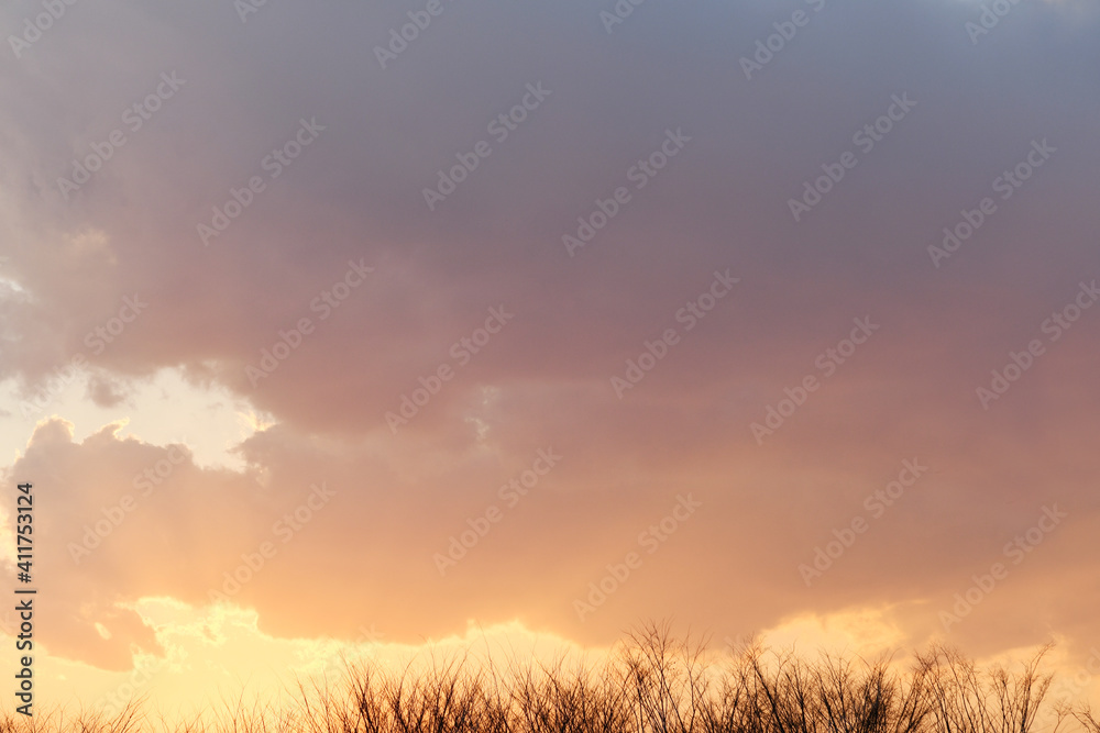 Fototapeta premium 夕陽の日差しと雲