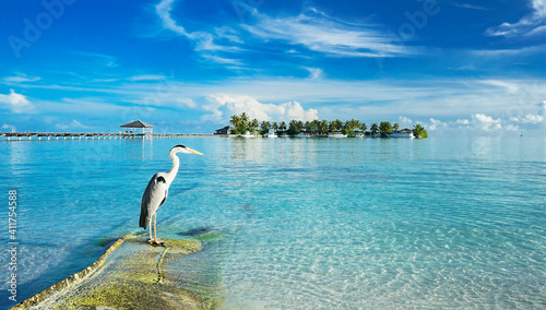 Fototapeta Naklejka Na Ścianę i Meble -  Beautiful tropical landscape with turquoise ocean with blue sky and light clouds on summer day. Long bridge to island. In foreground is lonely heron. Clear water and soothing nature.