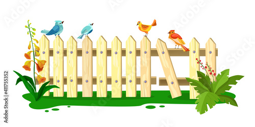 Wooden vector spring fence illustration, picket with sitting birds, grass, flowers, green leaves, isolated on white. Old cartoon broken farm backyard barrier, plants. Wooden summer rustic plank fence