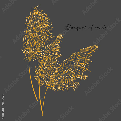 A bouquet of reeds.