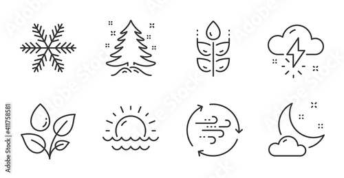 Thunderstorm weather, Wind energy and Christmas tree line icons set. Gluten free, Snowflake and Sunset signs. Night weather, Plants watering symbols. Thunder bolt, Breeze power, Spruce. Vector