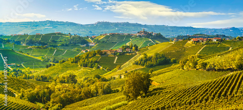 Langhe vineyards landscape and Castiglione Falletto, Piedmont, Italy Europe.