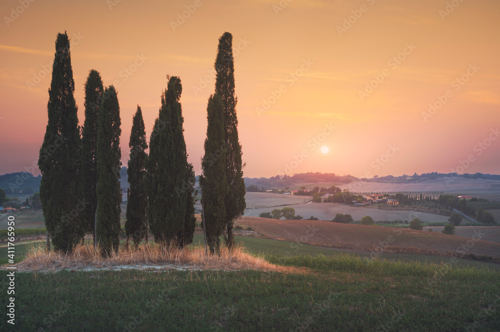 Sunset landscape in Maremma. Rolling hills and cypress trees. Bibbona,Tuscany, Italy