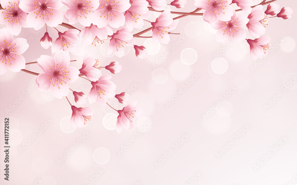 Spring time beautiful background with spring blooming cherry blossoms. Sakura branch with flying petals. Vector illustration