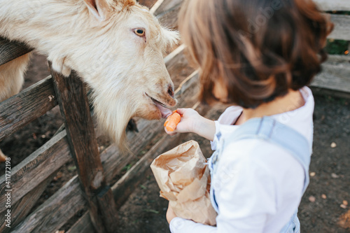 Little girl feeding goats on the farm.