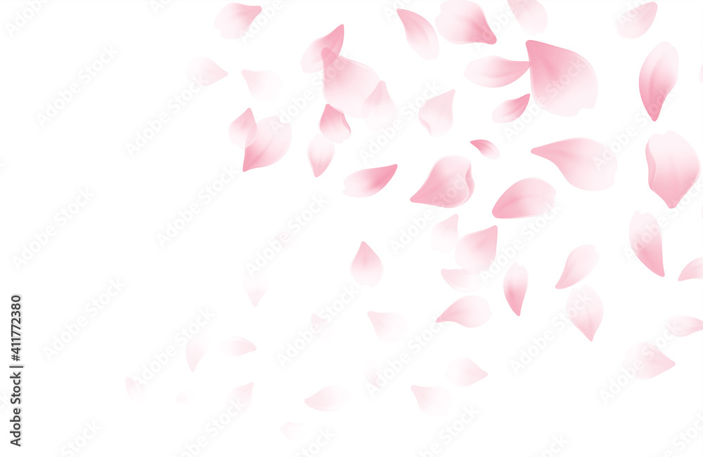 Spring time beautiful background with spring blooming cherry blossoms. Sakura flying petals isolated on white background. Vector illustration