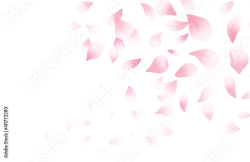 Spring time beautiful background with spring blooming cherry blossoms. Sakura flying petals isolated on white background. Vector illustration