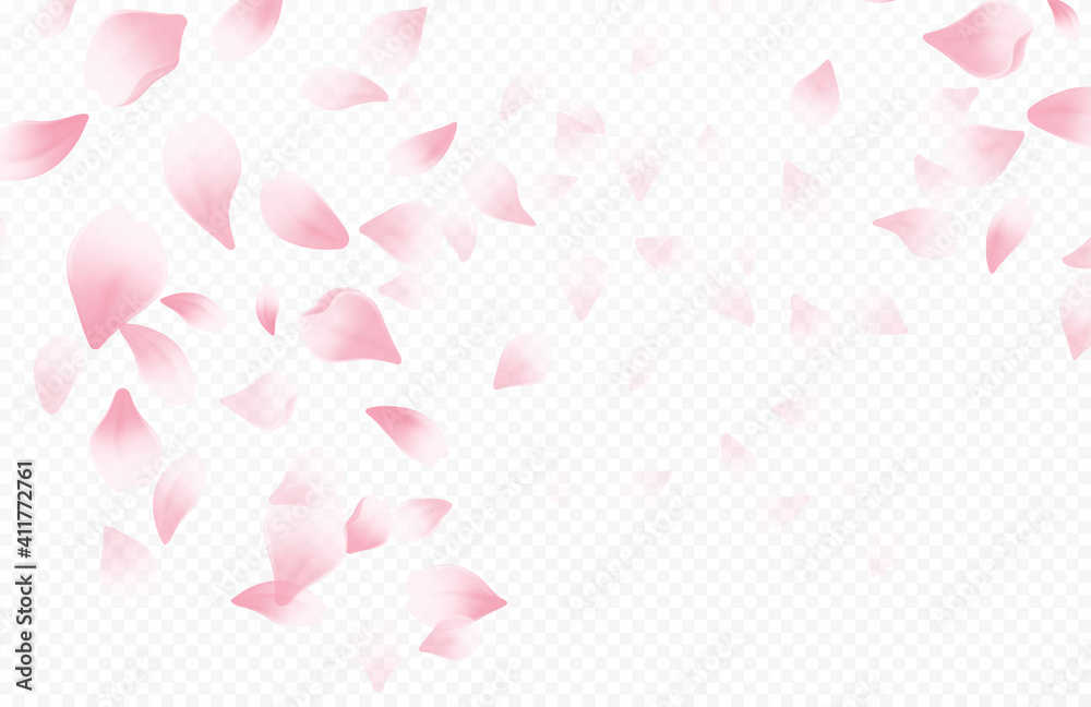 Spring time beautiful background with spring blooming cherry blossoms. Sakura flying petals isolated on white background. Vector illustration