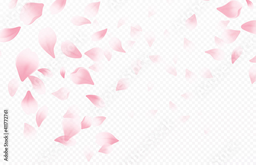 Spring time beautiful background with spring blooming cherry blossoms. Sakura flying petals isolated on white background. Vector illustration
