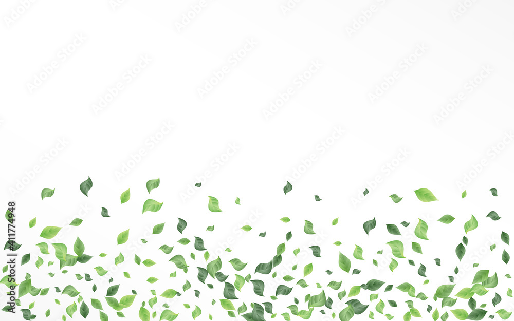 Swamp Greenery Organic Vector White Background Swamp Greenery Organic Vector White Background