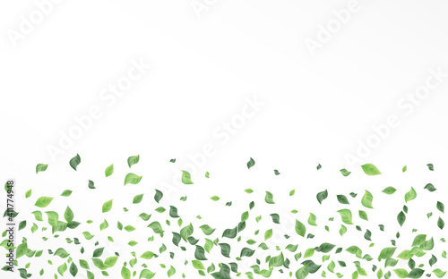 Swamp Greenery Organic Vector White Background