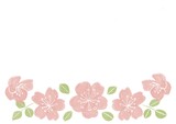 桜のカード
