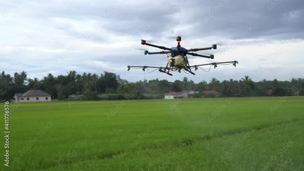 Agriculture drone spraying pesticide at paddy field. Rice grow season Agriculture drone spraying pesticide at paddy field. Rice grow season