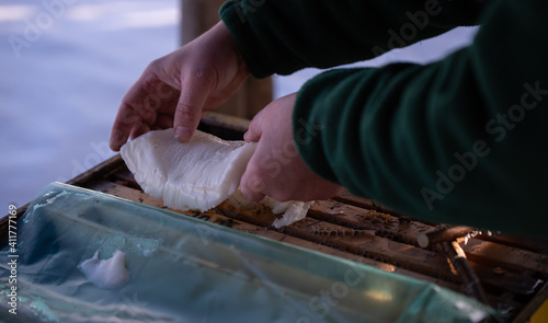 feeding bees with additional treatment made of sugar to replenish food reserves
