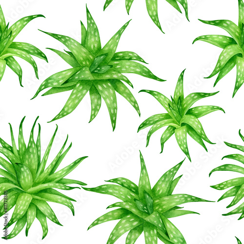 Watercolor aloe vera seamless pattern. Hand drawn green succulent medicinal herbs isolated on white background. Botanical design for cosmetics  package  decoration  herbal medecine  skin care