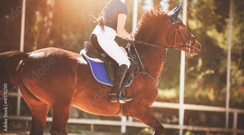 A fast strong bay racehorse with a rider in the saddle gallops through the arena, illuminated by the sunlight on a summer day. Equestrian sports. Horse riding.