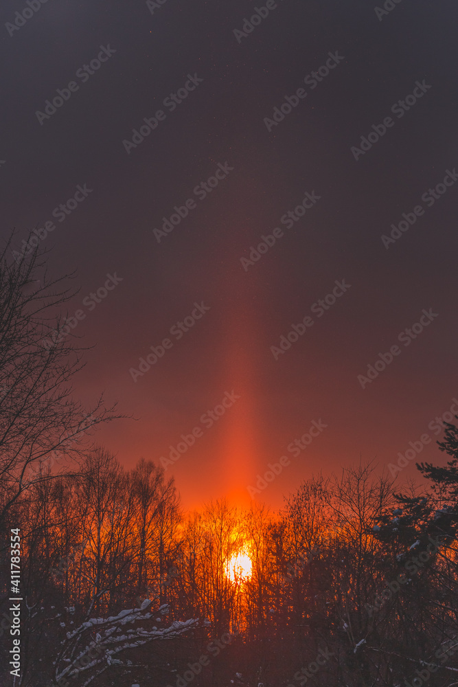 Cold sunset in winter forest with sun light pillar