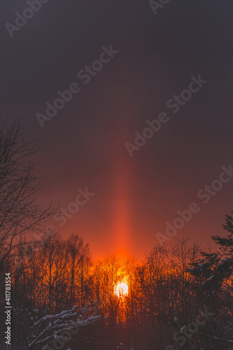 Cold sunset in winter forest with sun light pillar