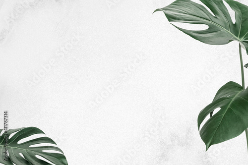 Tropical monstera leaf border frame leaf banner background