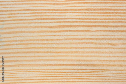 Pine wood texture. Light pine wood grain background