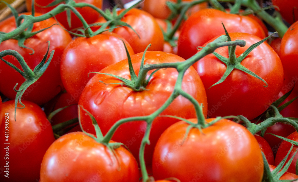 red tomatoes background. Group of tomatoes red tomatoes background. Group of tomatoes