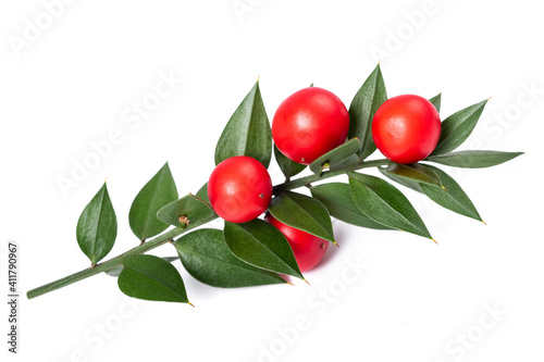 Butcher's broom