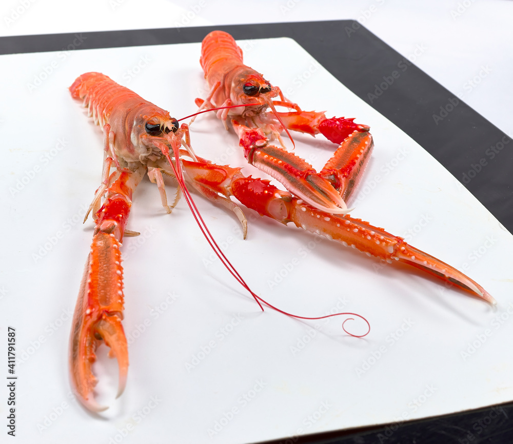 Fotka „Norway lobster from the estuaries of Galicia, in Spain. Norway