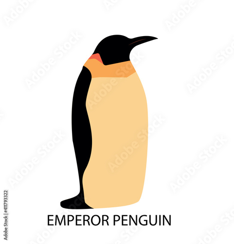 Illustration with emperor penguin. Illustration with emperor penguin. Cute cartoon character. Antarctica bird.