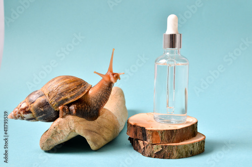 cosmetic serum with extract of snail slime and a snails on a wood. snail mucus extract. photo