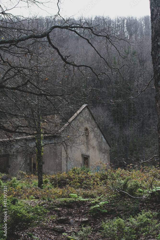 An old house in the middle of a forest An old house in the middle of a forest