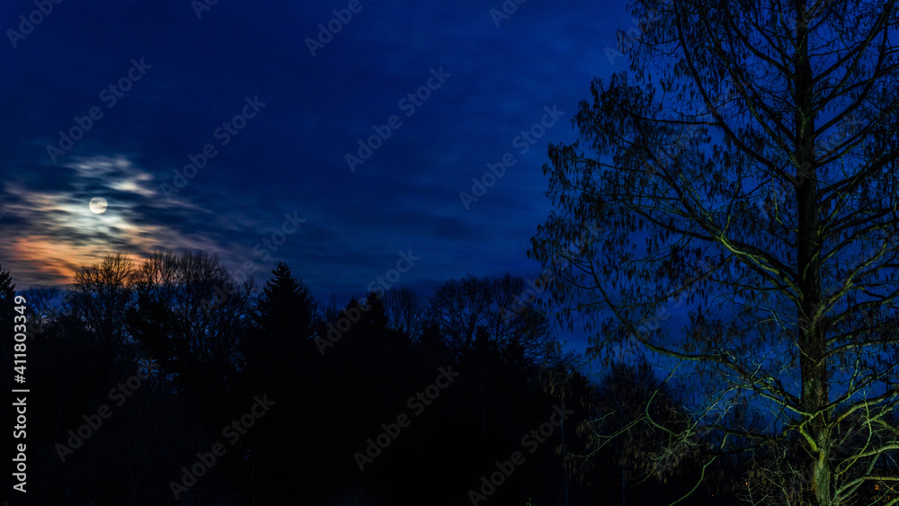Dark Full Moon behind Clouds and Above Trees Dark Full Moon behind Clouds and Above Trees