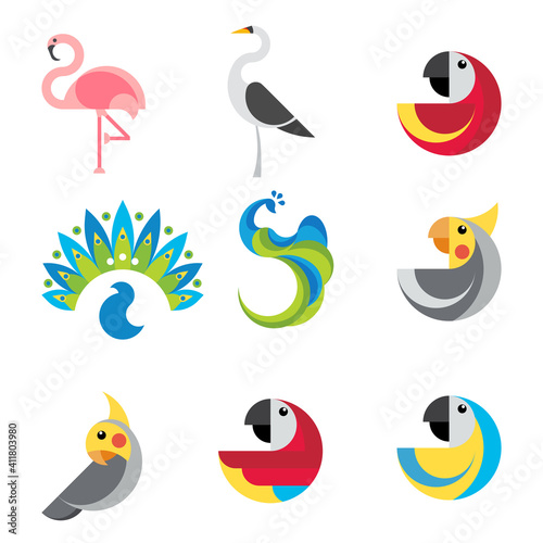 Collection of tropical birds, flat vector illustration.