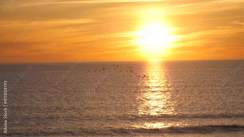 Amazing sea sunset with orange sun. A flock of birds flies over the sea during sunset.