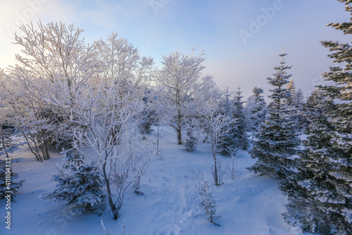 Snowy Russian forest. The top of the mountain covered with snow and snow-covered conifers. Beautiful winter landscape.