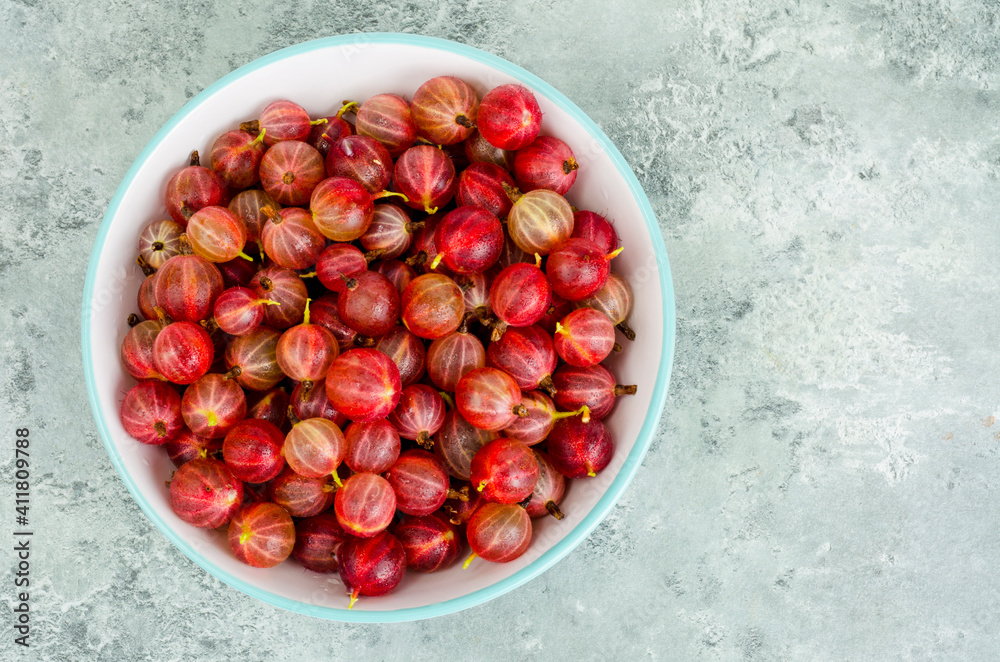Ripe red sweet gooseberries, bio, gardening. Studio Photo Ripe red sweet gooseberries, bio, gardening. Studio Photo