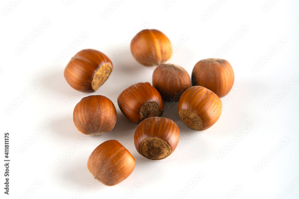 Hazelnuts nut isolated on the white background. Isolated hazelnut on white background. Top view. Hazelnuts nut isolated on the white background. Isolated hazelnut on white background. Top view.