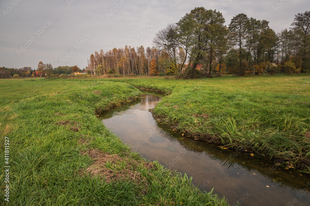 Czarna river at autumn near Gora Kalwaria, Mazowieckie, Poland