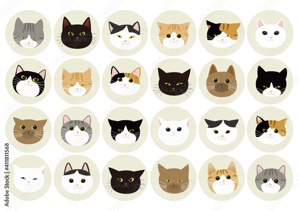 猫がしがちな表情 猫の顔 猫がしがちな表情 猫の顔