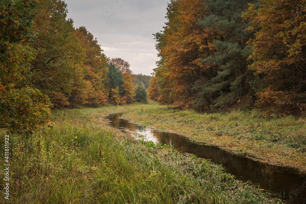 Czarna river at autumn near Gora Kalwaria, Mazowieckie, Poland