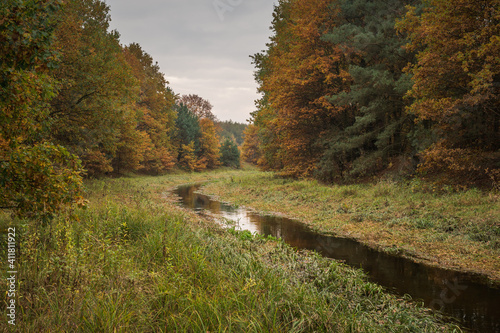 Obraz na płótnie Czarna river at autumn near Gora Kalwaria, Mazowieckie, Poland w salonie