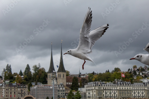 TopVisualization Pictures 2020 Lucerne 