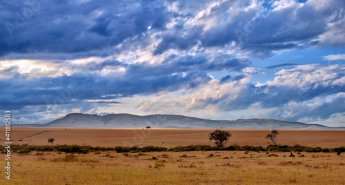 Landscape of Africa