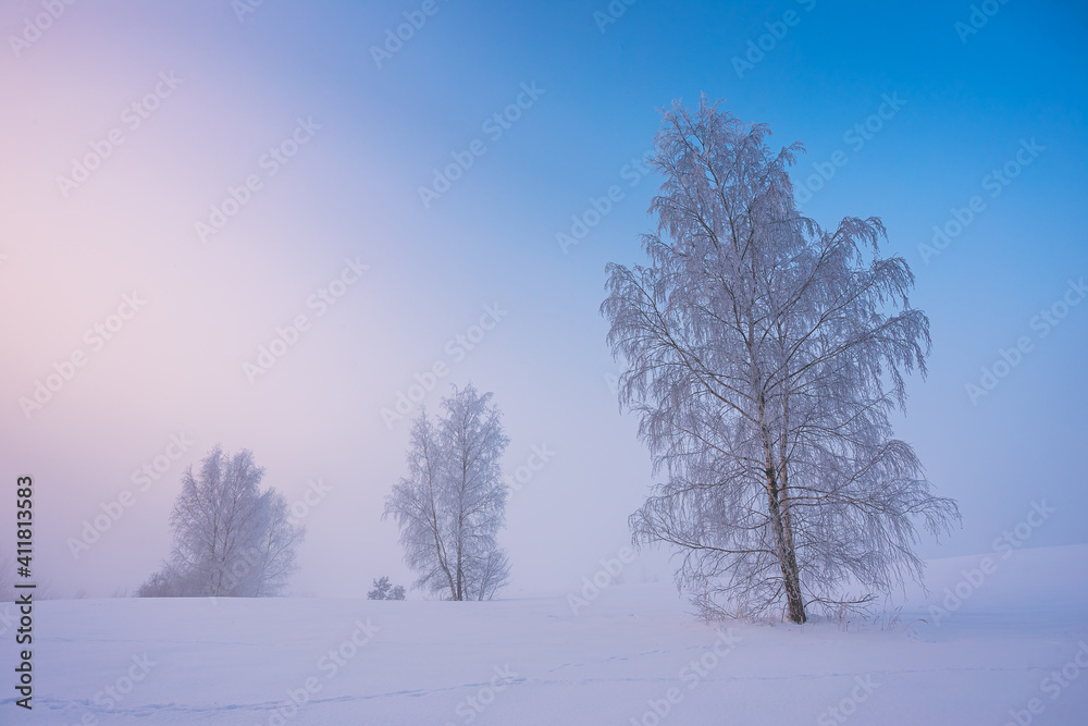 Winter landscape with fog. Warm cold sunrise landscape Winter landscape with fog. Warm cold sunrise landscape