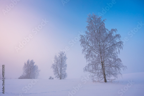 Winter landscape with fog. Warm cold sunrise landscape © lukjonis