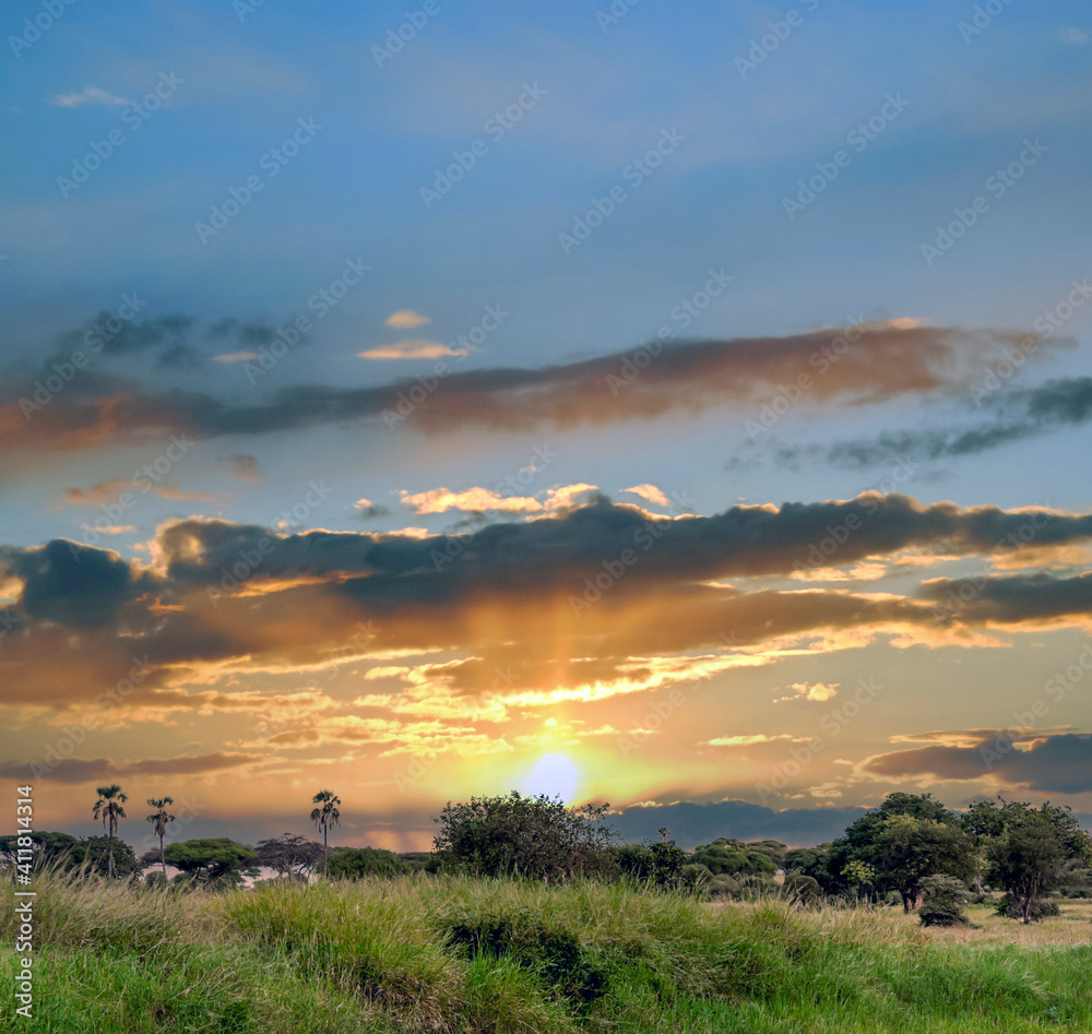 African landscape