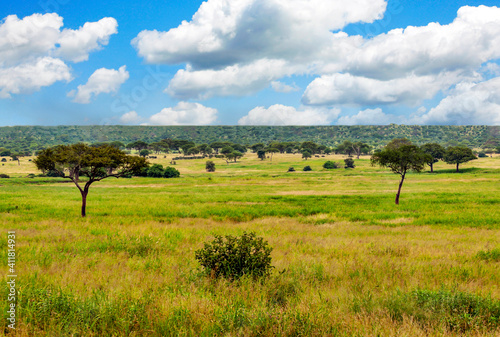 Landscape of Africa