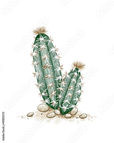 Illustration Hand Drawn Sketch of Pilosocereus or Tree Cactus. A Succulent Plants with Sharp Thorns for Garden Decoration.

