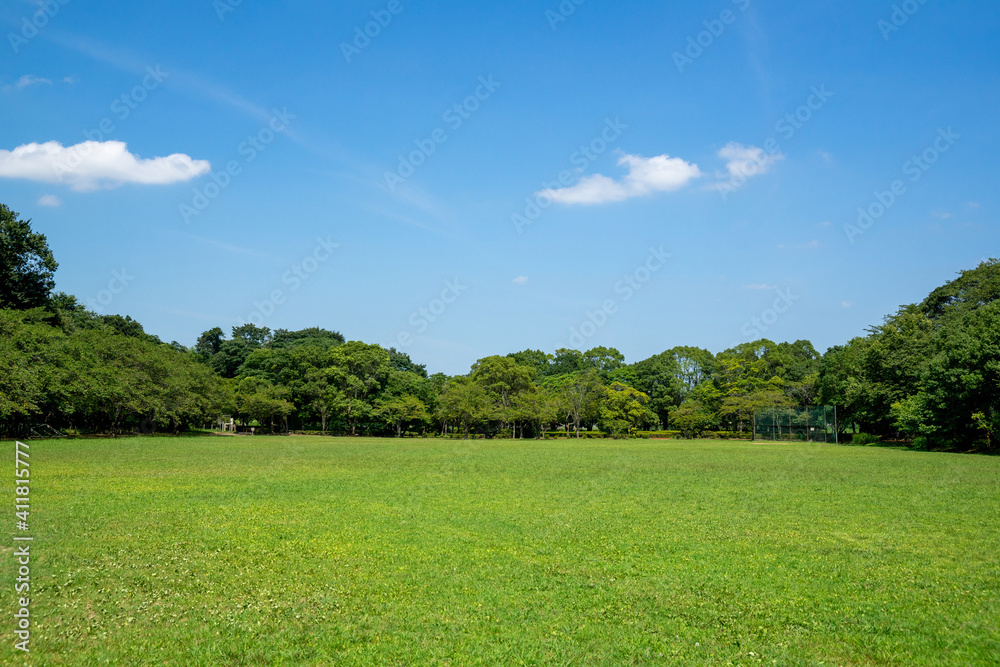 公園の新緑と青空